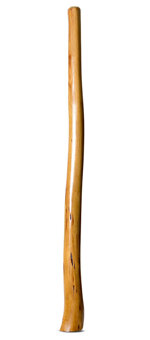 Gloss Finish Flared Didgeridoo (TW1057)